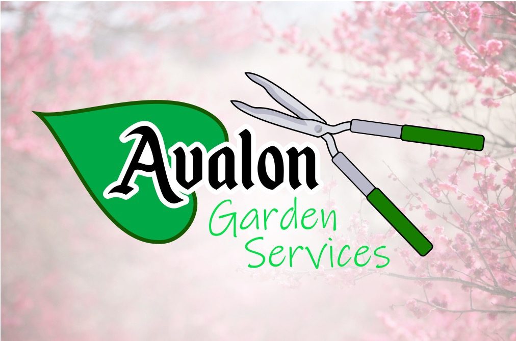 Logo of Avalon Garden Services featuring garden shears and a cherry blossom background design.