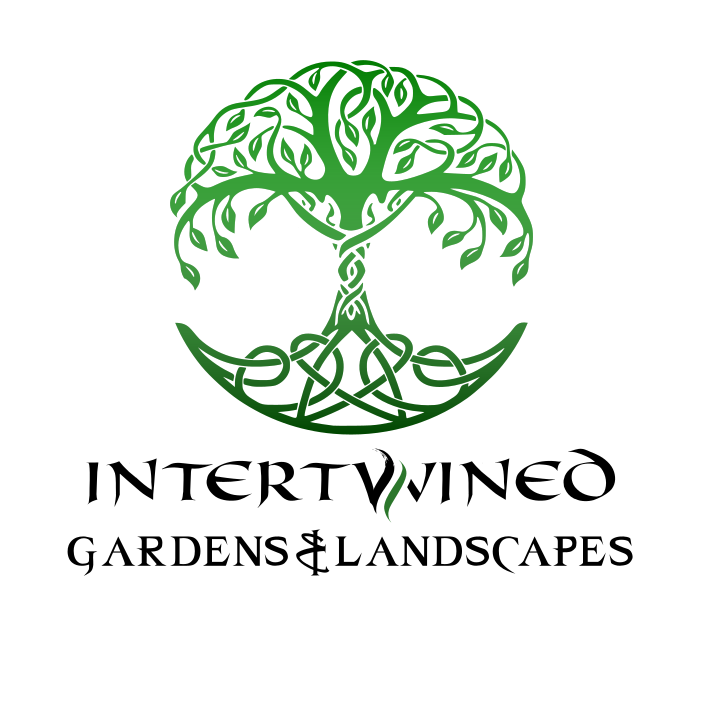 Logo of Intertwined Gardens & Landscapes featuring a stylised green tree with celtic knot style roots.